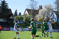 U16 gegen Waidhofen 2