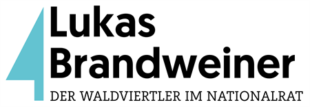 Logo - Lukas Brandweiner